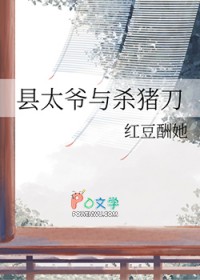 县太爷与杀猪刀